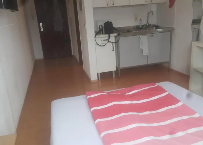 Altstadt 公寓 美因茨